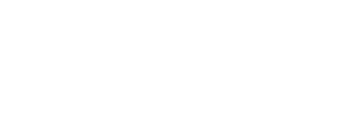 Zwile Media